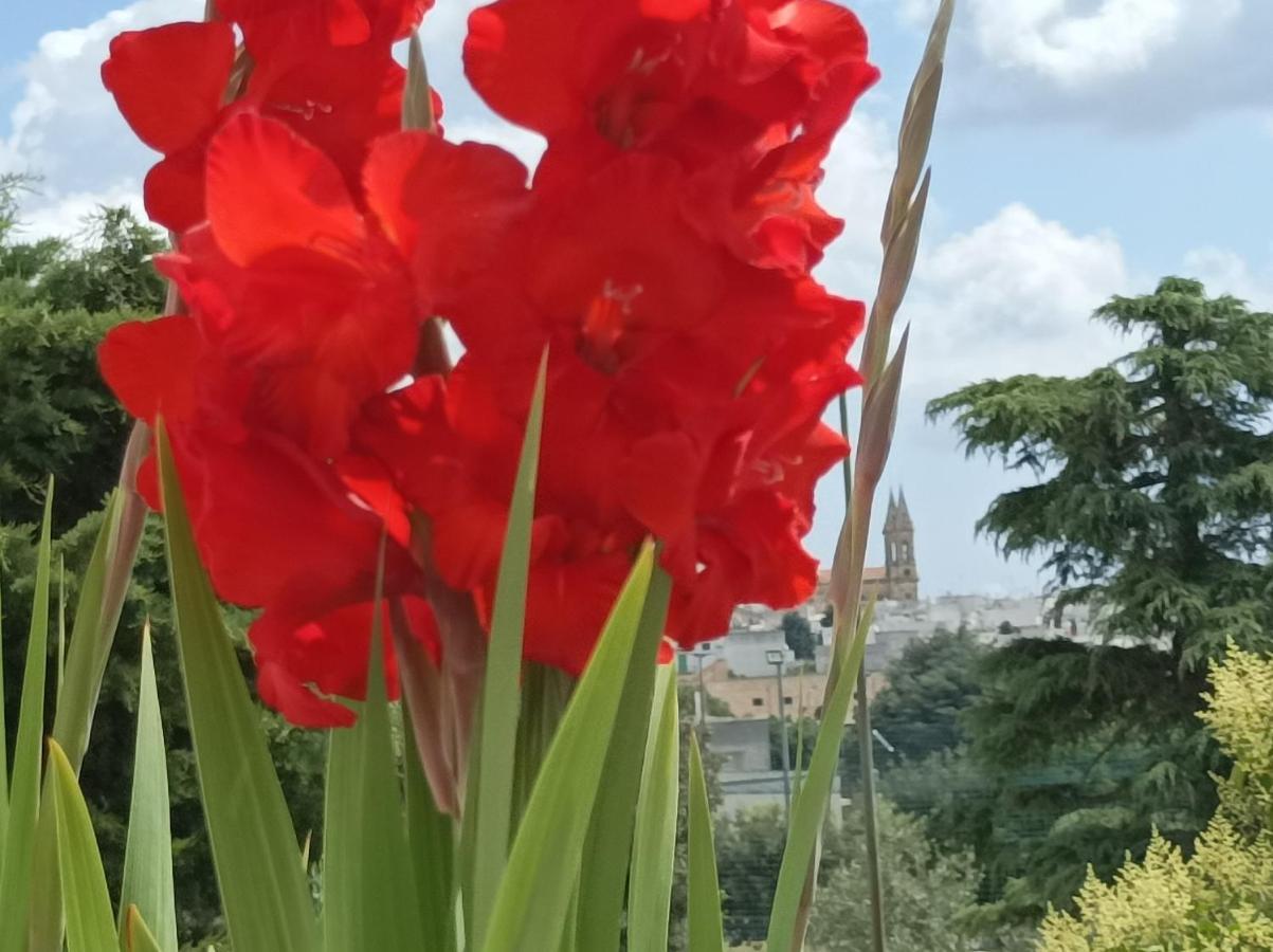 Sognando Alberobello Bed & Breakfast エクステリア 写真